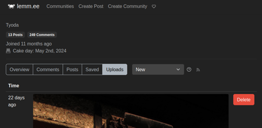 A screenshot of the Lemmy web UI showing the profile page of the logged in user. The "Uploads" section of the profile is shown, along with the top of the last uploaded image and a delete button next to it.