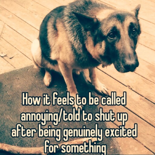 How it feels to be told to shut up after being exited about something. Picture of a sad dog
