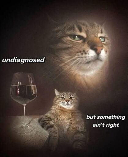 A bastardcore cat meme, captioned "undiagnosed, but something ain't right".
